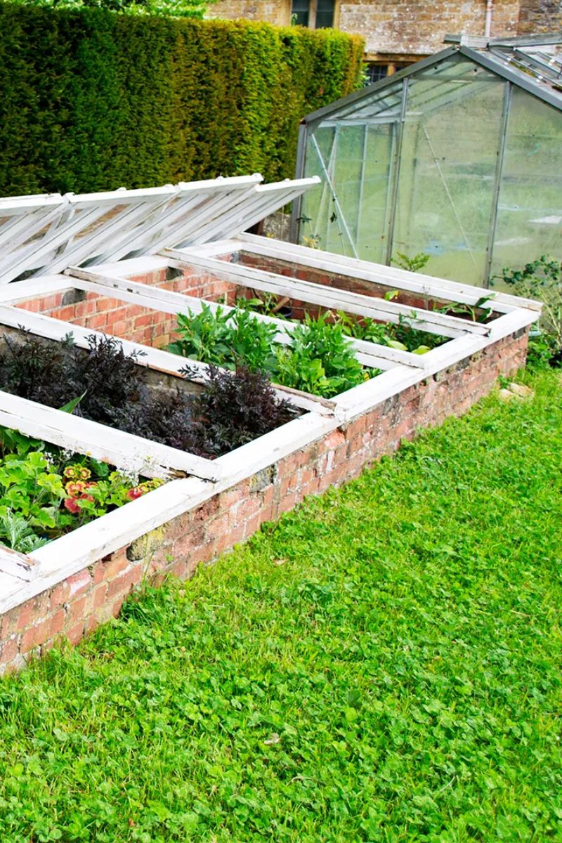 Sæsonplantning